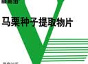 6盒装 [威利坦]马栗种子提取物片 0.4g*20片/盒 实拍图