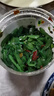湾琴河 香油海白菜500g 罐装即食裙带菜梗段片海藻沙拉下饭菜 实拍图