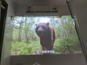 极米（XGIMI）Z6X 第五代 高亮版升级 700CVIA 家用投影仪办公会议 轻薄投影机1080P智能家庭影院 国家补贴 实拍图