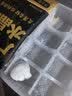 头厨手作水晶虾饺皇400g共20只广式早茶点心食品儿童早餐速冻半成品 实拍图