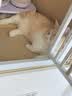 pidan经典混合猫砂 豆腐膨润土混合 3.6kg款8包装 实拍图