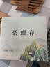 醉香一壶茶叶绿茶2026新茶苏州碧螺春明前春茶花果香茗茶自己喝的茶250g 实拍图
