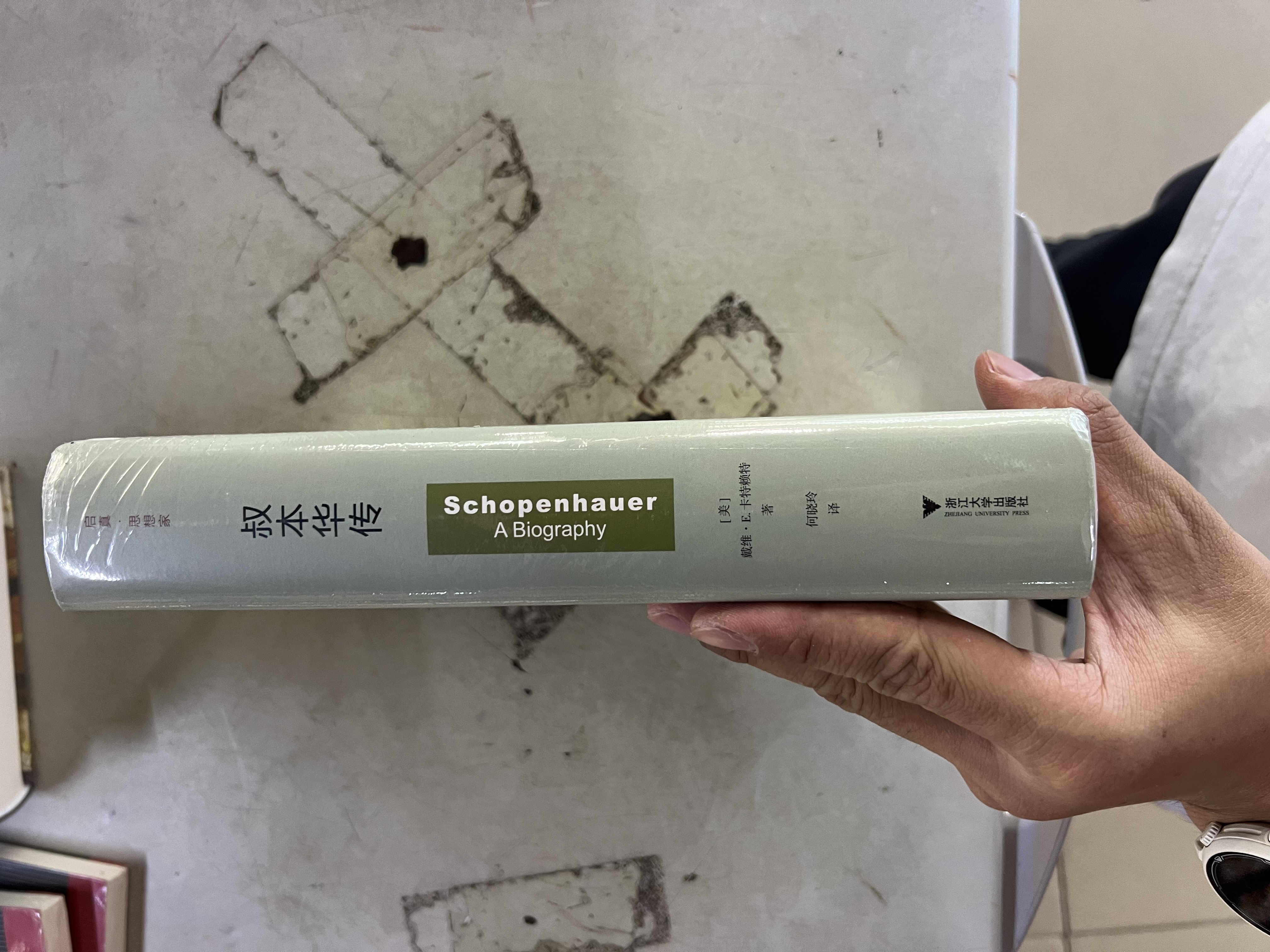 叔本华传 实拍图