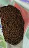 麦富迪狗粮 藻趣儿狗粮幼犬粮牛肉螺旋藻 呵护肠胃2.5kg 实拍图