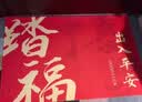 瑞恩入户门地垫脚垫入户门口地垫防滑地毯出入平安进门垫高档玄关垫子 实拍图