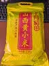 十月稻田 山西黄小米 5斤 真空袋装 山西特产 小米黄小米 杂粮早餐粥 实拍图