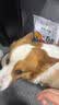 凡可奇狗粮小型犬通用全价狗粮 【真鲜乳鸽】2kg*2 实拍图