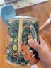 海堤（SEA DYKE）中茶海堤茶叶乌龙茶清香型铁观音罐装252g 实拍图