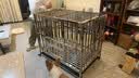 华美龙狗笼子加粗中大型犬不锈钢狗笼宠物狗狗窝狗屋柯基金毛高档耐咬 【组装款】78*52*68【激光满焊+赠狗碗×1】 实拍图