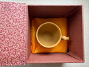 藏壶天下宜兴纯手工精品梅报春品茗小口茶杯原矿精致一人饮小号带把主人杯 黄金段泥 实拍图