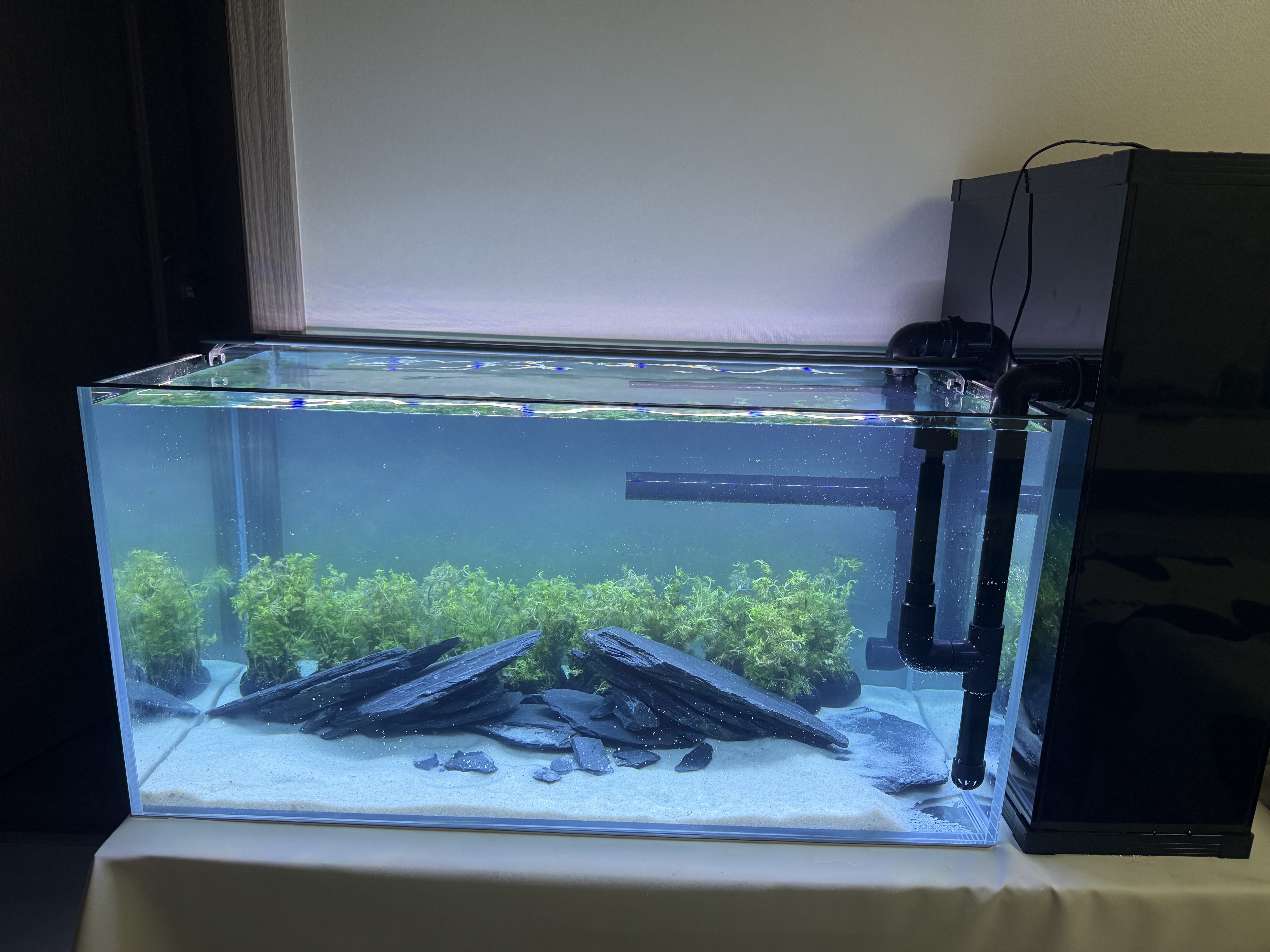 BESSN贝森金晶五线汽车级超白缸玻璃鱼缸客厅裸缸家用水草溪流缸 80*40*40cm8mm厚金晶五线超白送货上楼 实拍图