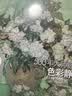 3本套装《500年大师经典》素描肖像色彩静物速写人物共三册西方大师临摹画册原作高清绘画系列书籍杨建飞主编 实拍图