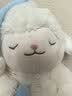 名创优品（MINISO）羊咩咩系列甜睡小羊公仔毛绒玩具玩偶公仔娃娃生日礼物女 月亮款 实拍图