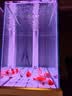 森森（SUNSUN）大型鱼缸底过滤水族箱客厅家用落地玻璃生态金鱼缸 超白隔断屏风款 1米长42cm宽（黑白灰可选） 实拍图