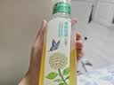农夫山泉东方树叶茉莉花茶500ml*15瓶无糖茶饮料0糖0脂0卡整箱装 实拍图