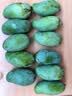 京鲜生攀枝花凯特芒净重8斤 单果400g＋ 新鲜水果 源头直发包邮 实拍图
