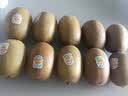 佳沛（zespri）新西兰阳光金果10个装单果重约103-114g 水果礼盒 猕猴桃 实拍图