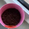 IAM City Farmer薄荷DIY可食用植物盆栽种子幼儿园趣味种植开学季中秋节礼物10082 实拍图