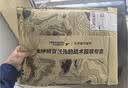 龙牙【2件-100】二代秘纤速干宽肩背心内搭休闲外穿舒适纯色吸湿背心 白色 L (180/100A) 高183重155-170斤 实拍图