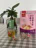 九芝堂猴头菇丁香沙棘暖养胃茶幽山药门螺杆菌调理男女士肠胃口气养生茶 实拍图