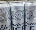 百威冰啤酒500ml*18听整箱装【99%好评】京东自营中秋送礼 实拍图