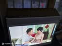 极米PLAY 6 户外全能套装 投影仪便携家用 1080P云台投影 一体式隐藏支架（户外露营好搭子 ）开学季 实拍图