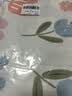 洁丽雅（Grace）100%A类全棉枕套 7A抗菌面料 枕头套枕芯套 半夏一对装 48*74cm 实拍图