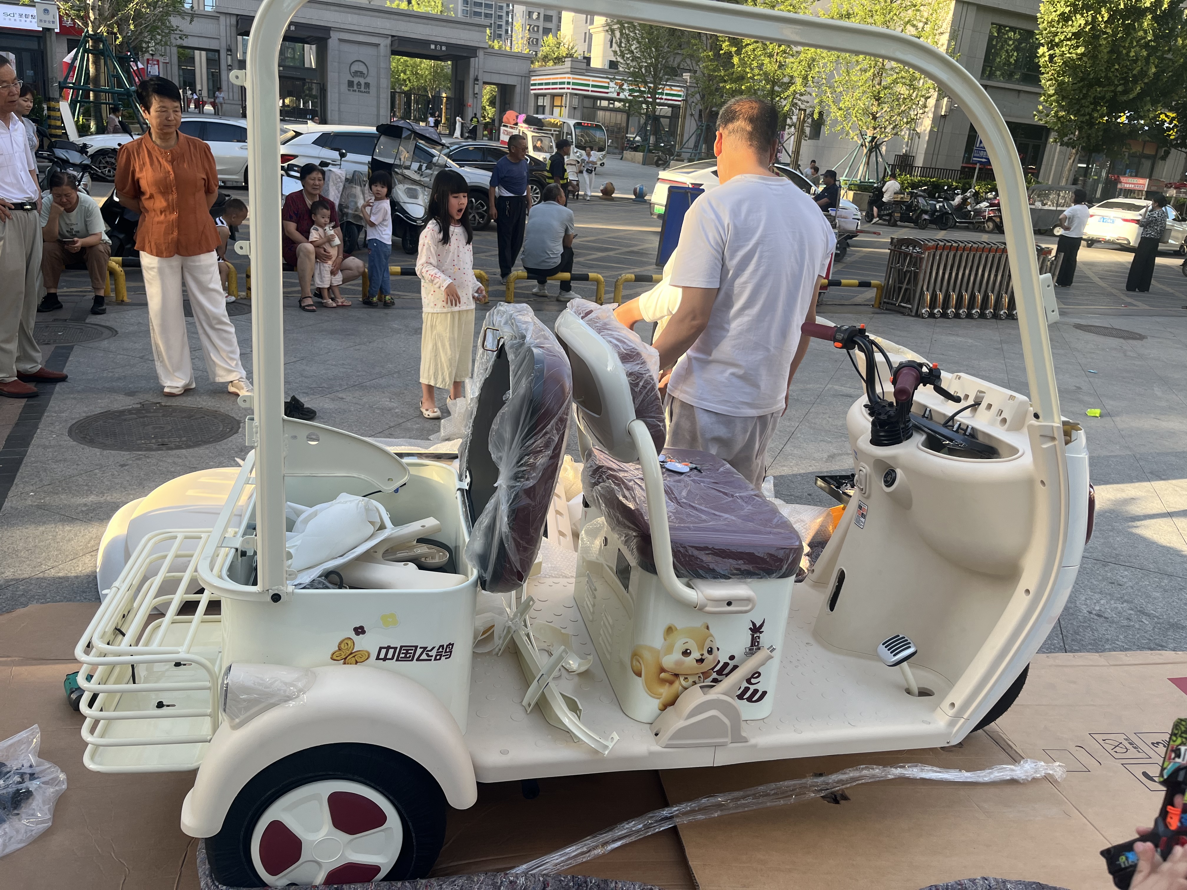 飞鸽电动三轮车电动车小型家用接送孩子老人代步休闲一体棚带棚三轮车 【顺丰发/到货骑】【旗舰款裸车】详询客服 实拍图