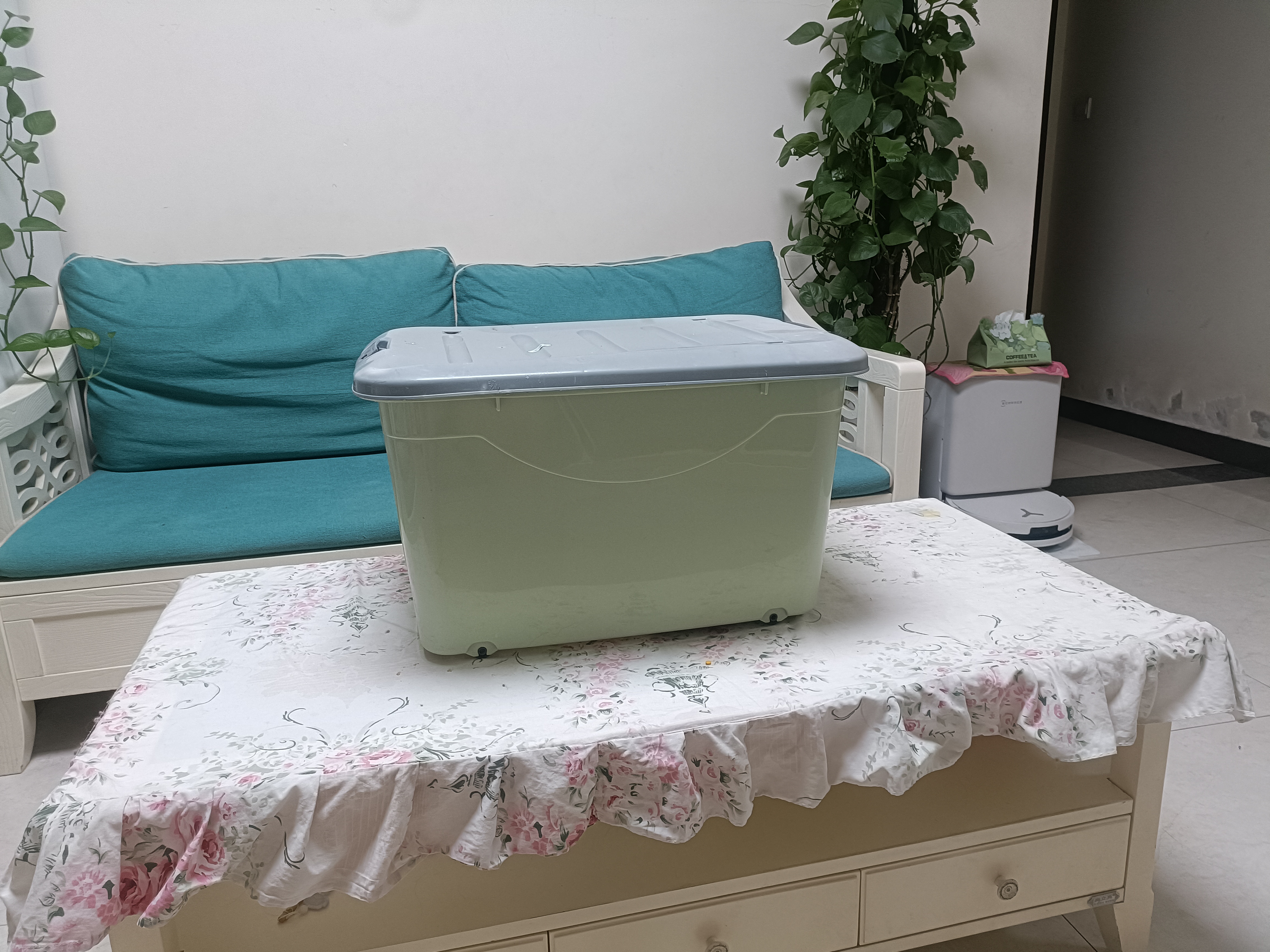 科沃斯【超级大牌日】T90 PRO扫地机器人扫拖一体自动清洗自动集尘热水洗拖布滚筒洗地机器人水箱版 实拍图