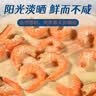 赶海弟 八星金钩大海米160g/罐 虾仁干 海米干虾米皮 火锅食材 南北干货 实拍图