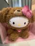 TOP TOYHello Kitty治愈贵宾狗系列毛绒公仔手办玩具儿童生日礼物 实拍图