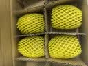 佳沛（zespri）新西兰金奇异果10个装单果重103-114g猕猴桃中秋节礼品送水果礼盒 实拍图