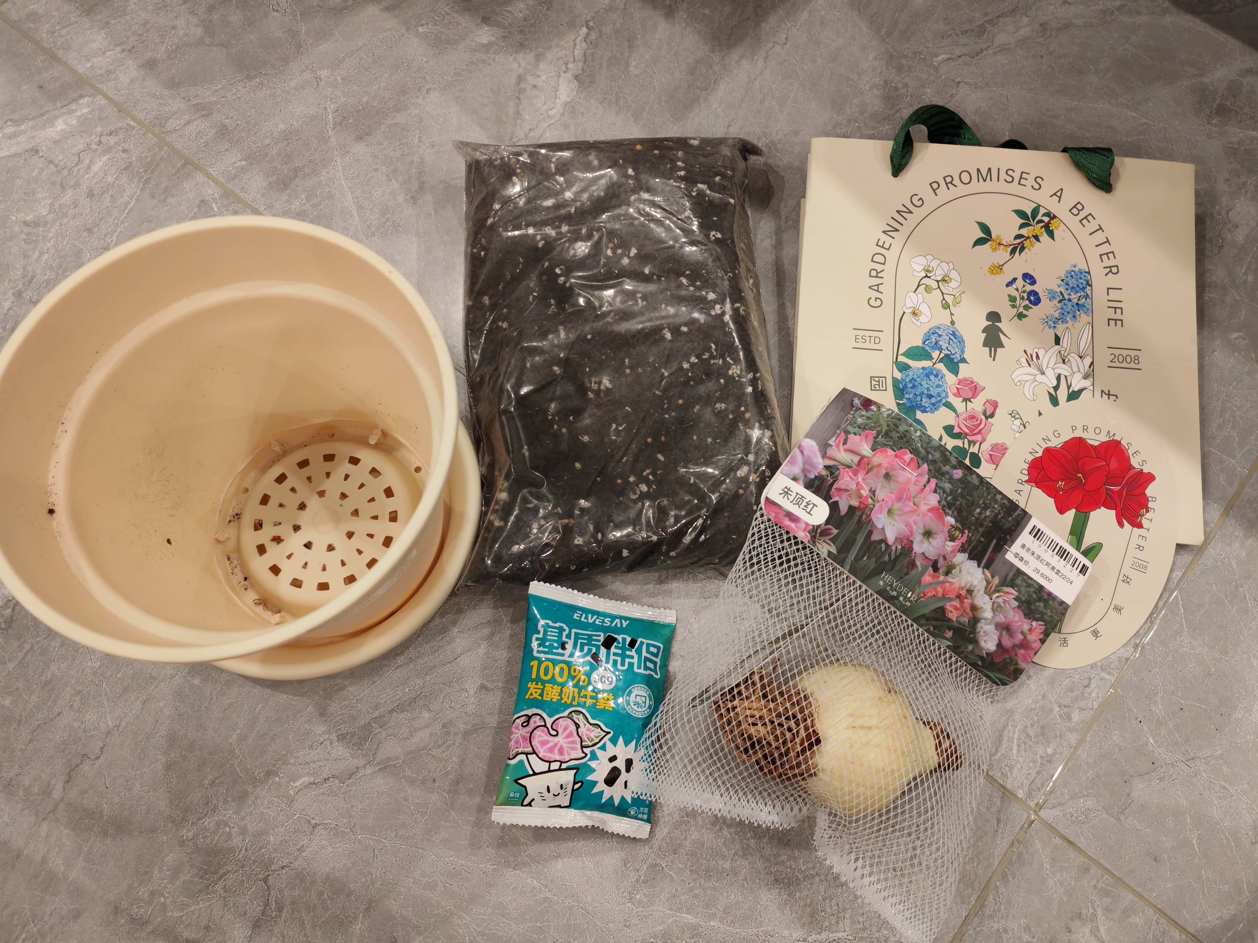海蒂的花园旗舰店南非朱顶红进口重瓣种球室内阳台球根花卉植物保证对版种球 阿弗雷送礼套餐【中秋节礼物】 12+ 实拍图