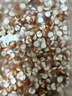 十月稻田 芡实 400g  圆粒红皮鸡头米 鸡头果 五谷杂粮粗粮 炖汤煲粥材料 实拍图