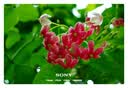 索尼（SONY）ZV-E10K APS-C画幅微单相机 新升级标准镜头套装 黑色 新套机镜头E PZ 16-50mm F3.5-5.6 OSS II 实拍图