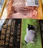 金华两头乌 大排 350g 实拍图