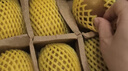 佳沛（zespri）新西兰阳光金果10个装单果重约103-114g 水果礼盒 猕猴桃 实拍图