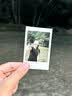 INSTAX富士instax立拍立得 mini相纸 白边双包20张(适用miniSE/11/12/40/90/LiPlay/EVO/Link3) 实拍图