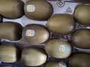 佳沛（zespri）新西兰阳光金奇异果巨大果22粒原箱单果146-175g 猕猴桃水果礼盒 实拍图