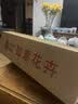 京东鲜花随机色系玫瑰30枝40cm(2-3配色)山东新鲜现采送礼物悦己源头直发 实拍图