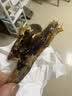盒边宠物零食 冻干混合桶营养鸡肉粒肉干猫咪狗狗零食大礼包 冻干多春鱼30g 实拍图
