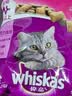 伟嘉成猫猫粮1.3kg牛肉味布偶蓝猫橘猫加菲英短猫咪夹心粮全价粮 实拍图