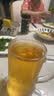 青岛啤酒（TsingTao）精酿白啤全麦原麦汁浓度10°P  500ml*12瓶整箱装 中秋节送礼 实拍图