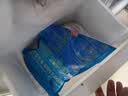 京东京造大连有机鲜食海参500g 家庭装8-10只 冷冻即食海参中秋礼品礼盒 实拍图