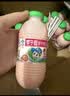 李子园成毅同款甜牛奶饮品低脂低糖草莓牛奶 225ml*20瓶整箱早餐下午茶 实拍图