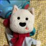 babycare甜梦安抚巾牙胶新生儿婴儿安抚玩具毛绒玩偶手偶可咬-西高地哆哆 实拍图
