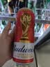 百威【哈宝同款】世界杯礼盒版啤酒【40周年限定】500ML*12中秋送礼 实拍图