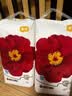 宜婴红花山茶裤 XL68片 弱酸拉拉裤 护臀尿不湿透气纸尿裤【整箱】 实拍图