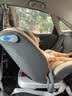 DAIICHI儿童安全座椅汽车用0-4-12岁宝宝360度旋转婴儿车载坐椅ISOFIX 灰色【遮阳棚+支撑腿+侧保护】 实拍图