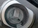 美的（Midea）免清洗波轮洗衣机全自动 6公斤小型家用 除螨 一级能效 MB60V56B 以旧换新 补贴 自营 实拍图